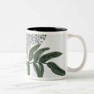 Ältestes, Fig. 13 "vom jungen Landsman", publishe Zweifarbige Tasse