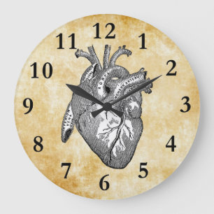 altherz Anatomie Große Wanduhr