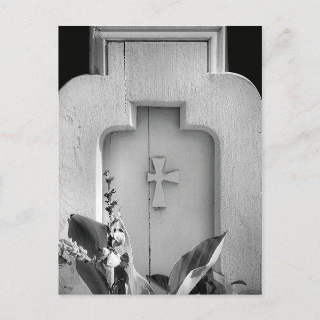 Altholzkirchenzapfen im Freien Seitenansicht BW Postkarte (Vorderseite)