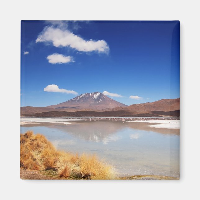 Altiplano Landschaft mit Vulkan in Bolivien Magnet (Vorne)