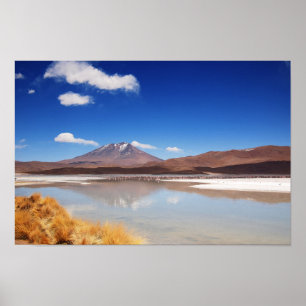 Altiplano Landschaft mit Vulkan in Bolivien Poster