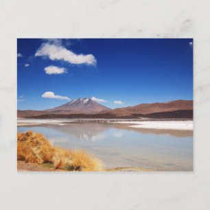 Altiplano Landschaft mit Vulkan in Bolivien Postkarte