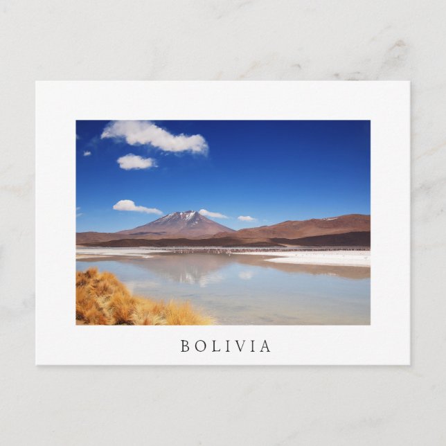 Altiplano Landschaft mit Vulkan in Bolivien Postkarte (Vorderseite)