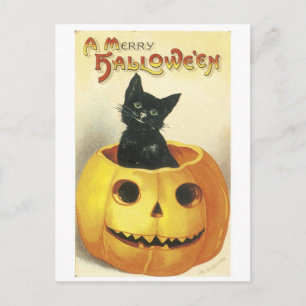 Altmodische Halloween-Jack-o'-Laterne, Schwarze Ka Postkarte