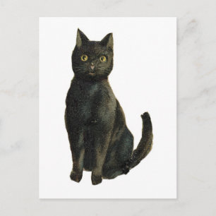 Altmodische Halloween-Schwarze Katze Postkarte