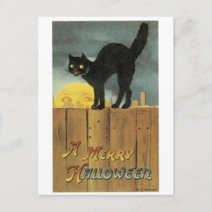 Altmodisches Halloween, Schwarze Katze & Vollmond Postkarte