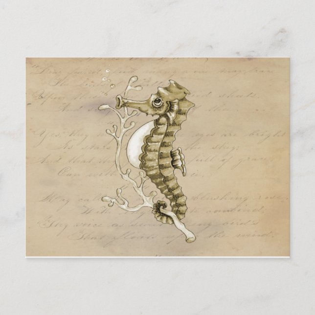 Altmodisches Seepferd auf Vintagem Postkarte (Vorderseite)