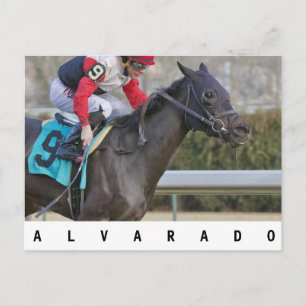 Alvarado Postkarte