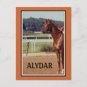 Alydar Belmont Stakes Post Parade 1978 Postkarte