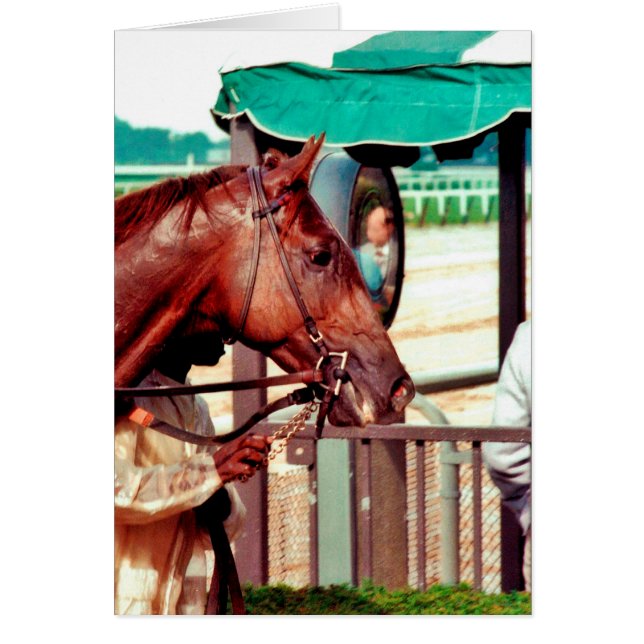 Alydar Thoroughbred 1979 (Vorne)