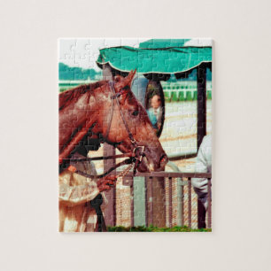 Alydar Thoroughbred 1979 Puzzle