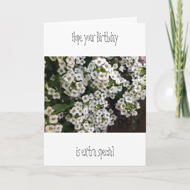 Alyssum Birthday Card Karte (Vorderseite)