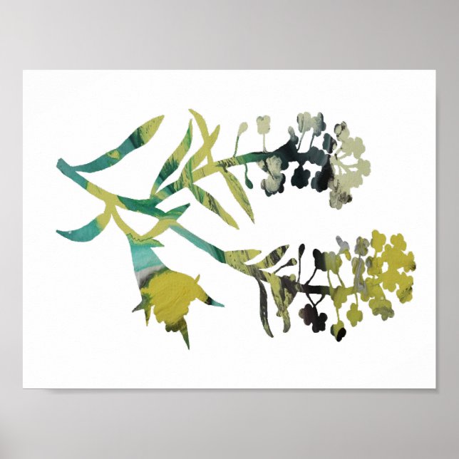 Alyssum Poster (Vorne)