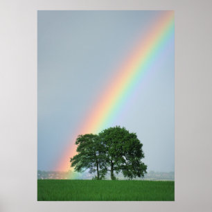 Am Ende des Regenbogens… Poster