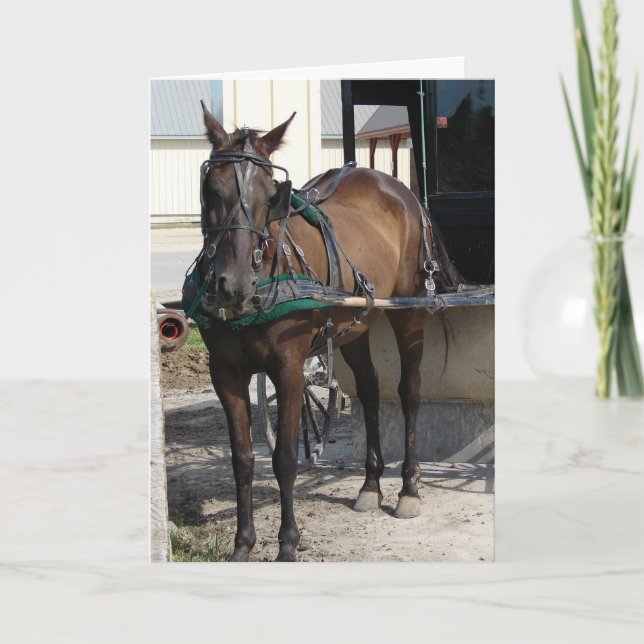 Am Hitching Post Geburtstag Karte (Vorderseite)