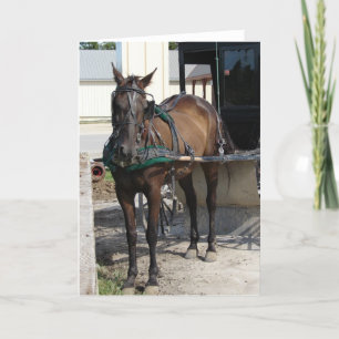 Am Hitching Posten Karte