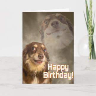 Am I The Drama? Karte