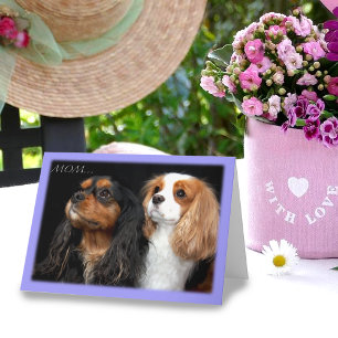 Am Muttertag Zwei Cavalier King Charles Spaniel Karte