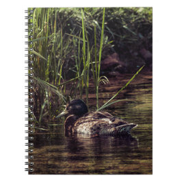 Am Rand des Teiches Notizblock