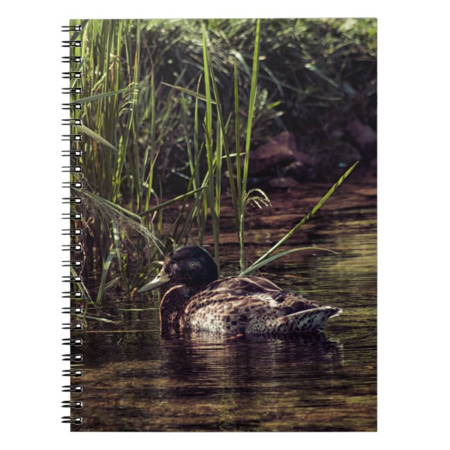 Am Rand des Teiches Notizblock (Vorderseite)