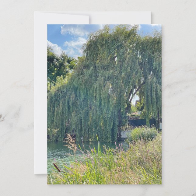 Am See (Vorderseite)