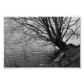 Am See Fotodruck