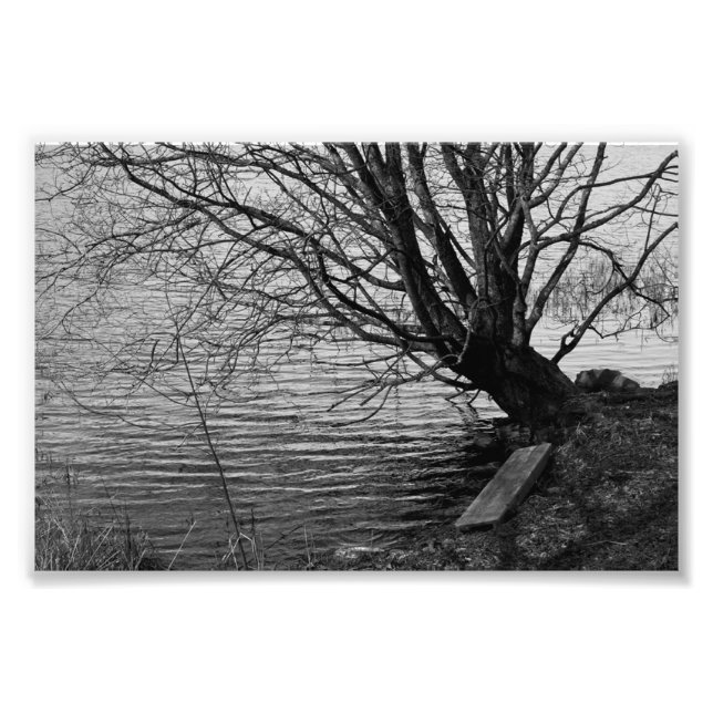 Am See Fotodruck (Vorne)