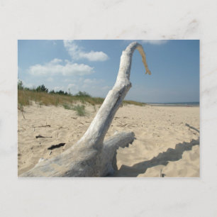 Am Strand - Postkarte