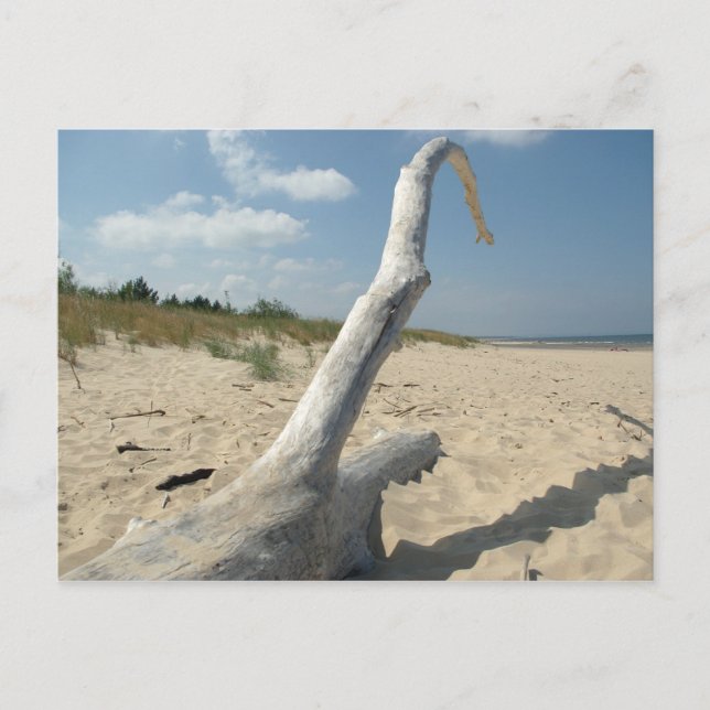 Am Strand - Postkarte (Vorderseite)