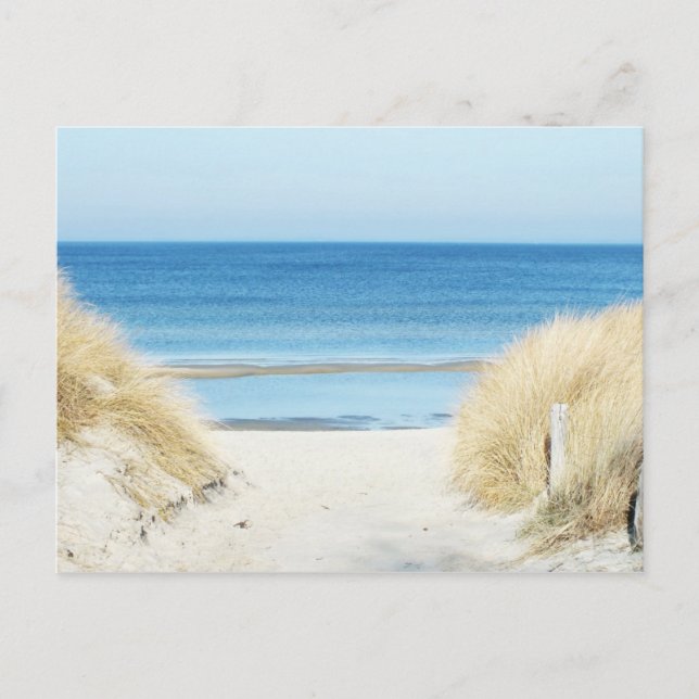 am Strand Postkarte (Vorderseite)