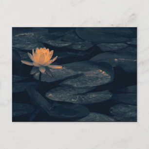 "Am Teich nachdenkend" - Postkarte