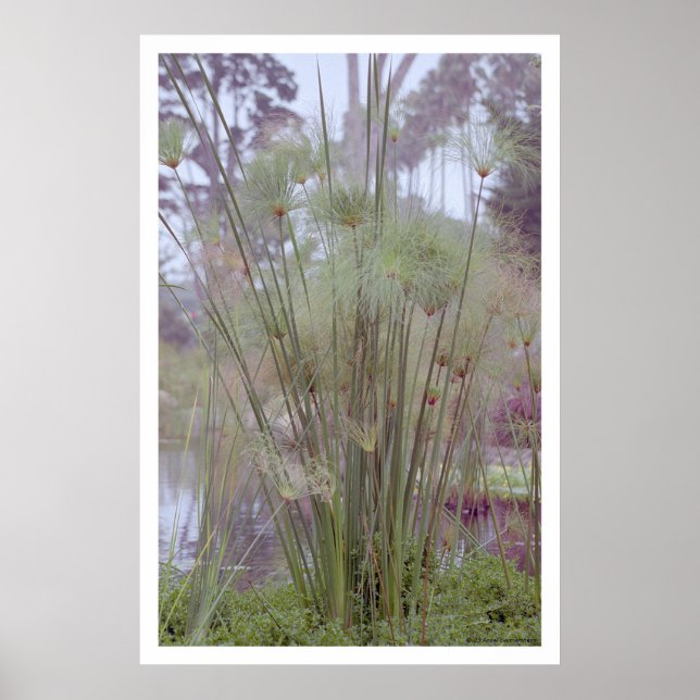 Am Wasser, Santa Barbara (Plakat) Poster (Vorne)