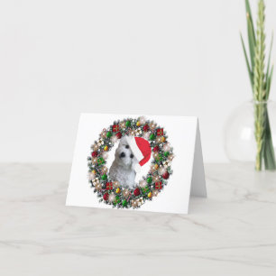 Am Weihnachten - Bichon Frise