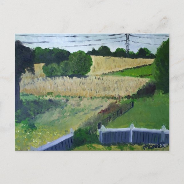 Amagansett Field Postkarte (Vorderseite)