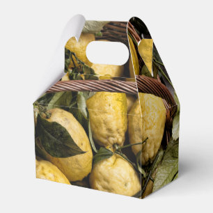 Amalfi Lemon Basket Geschenkschachtel
