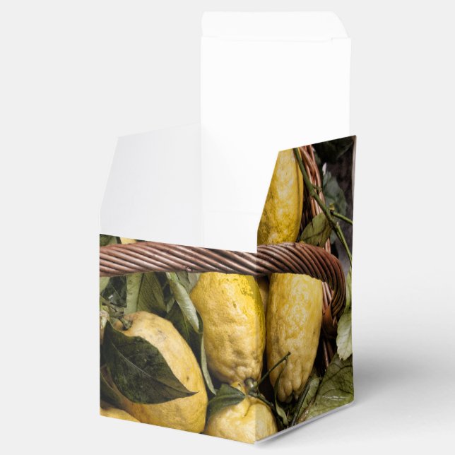 Amalfi Lemon Basket Geschenkschachtel (Geöffnet)