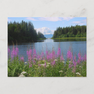 Amalga-Feuerweh-Ansichten Postkarte