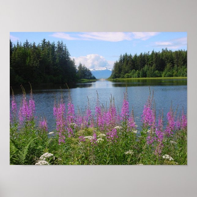 Amalgafireweed Poster (Vorne)