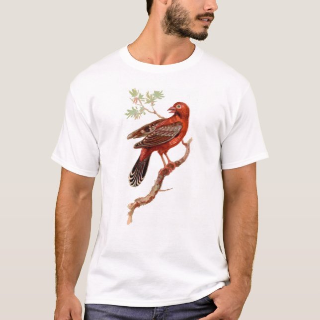 amandava auf Weiß T-Shirt (Vorderseite)