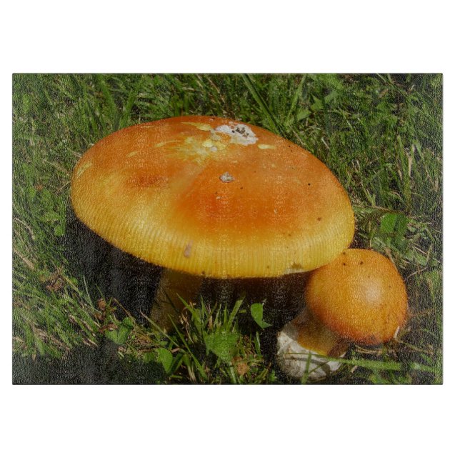 Amanita Caesarea Mushroom Glas Cheminée Schneidebrett (Vorderseite)