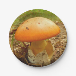 Amanita Caesarea Mushroom Paper Teller