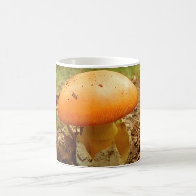 Amanita Caesarea Mushroom-Tasse Kaffeetasse (Mittel)