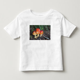 Amanita-Familie Pilz Kleinkind T-shirt
