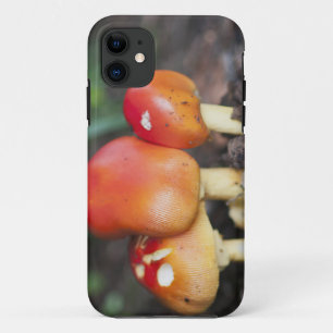 Amanita-Familienpilz iPhone 11 Hülle