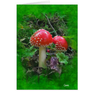 Amanita Muscaria - 5" x 7" Art Card