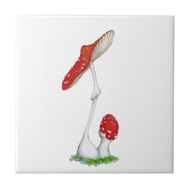 Amanita muscaria fliese (Vorderseite)