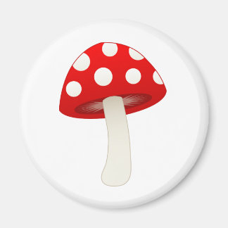 Amanita Muscaria Pilzsaal Liebe Magnet