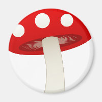Amanita Muscaria Pilzsaal Liebe