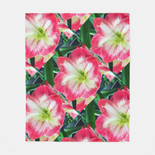 Amarilis pinkfarbene weiße Blume Fleecedecke