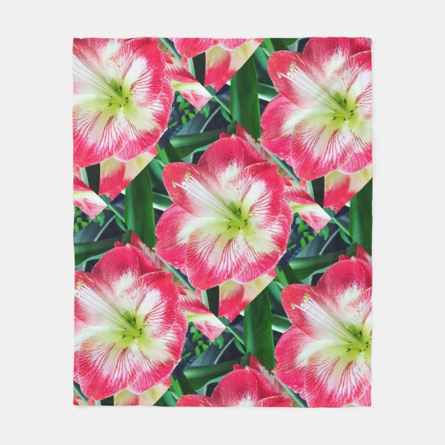 Amarilis pinkfarbene weiße Blume Fleecedecke (Vorderseite)